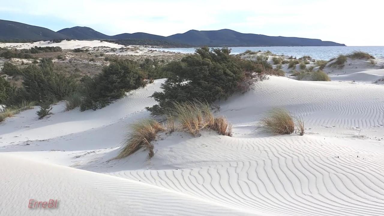 Апартаменты La Rosa Dei Venti Теулада Экстерьер фото